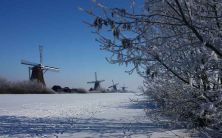 dutch winter.jpg
